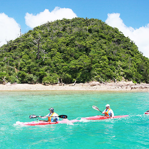 加計呂麻島の行事一覧 ｜ 加計呂麻島の観光情報サイト 加計呂麻(カケロマ)ウェルカム