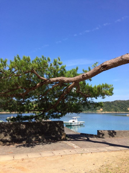 奄美大島加計呂麻島の風景