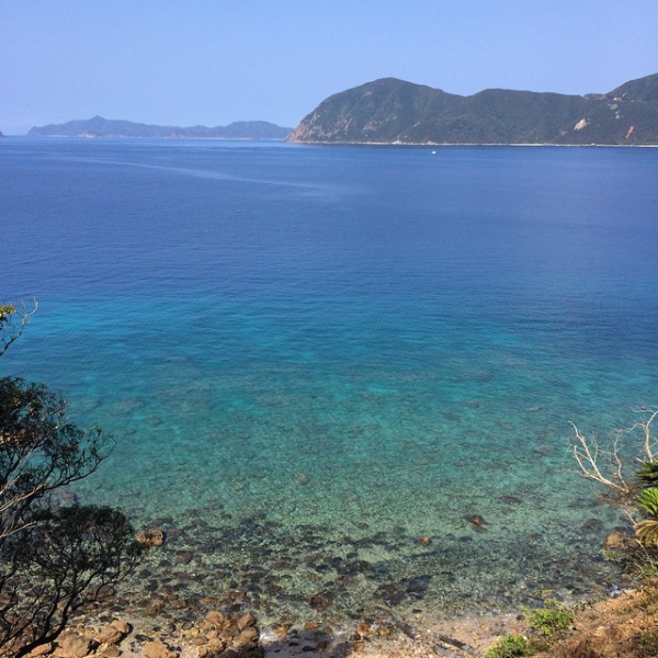 奄美大島加計呂麻島の風景