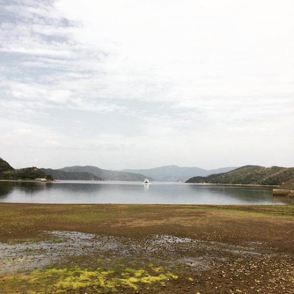 奄美大島加計呂麻島の風景