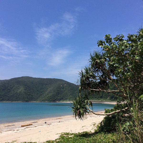 奄美大島加計呂麻島の風景