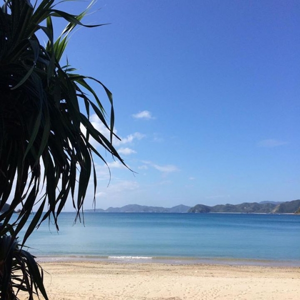 奄美大島加計呂麻島の風景