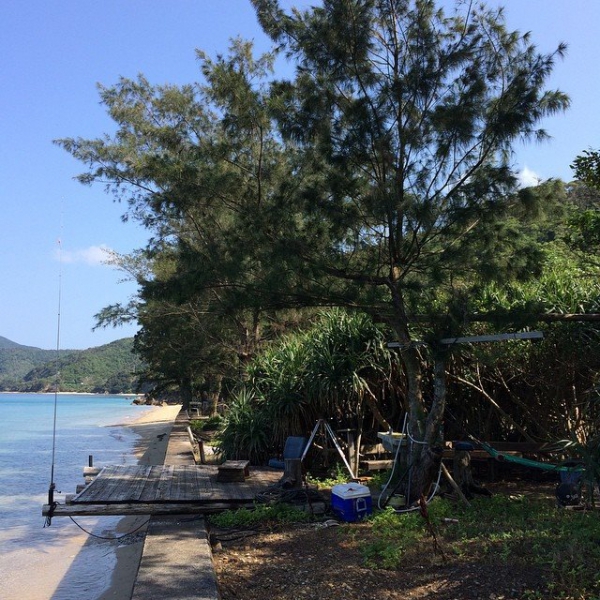 奄美大島加計呂麻島の風景