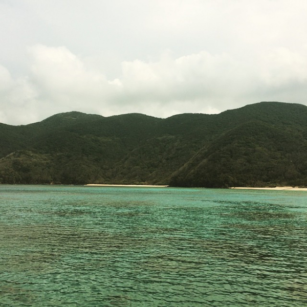 奄美大島加計呂麻島の風景