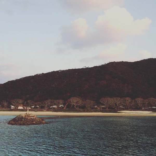 奄美大島加計呂麻島の風景