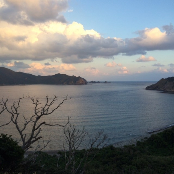 奄美大島加計呂麻島の風景