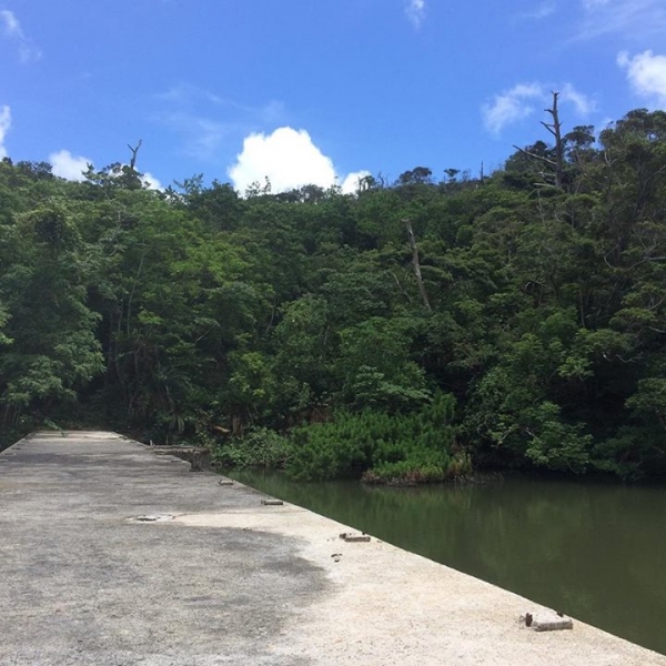 奄美大島加計呂麻島の風景