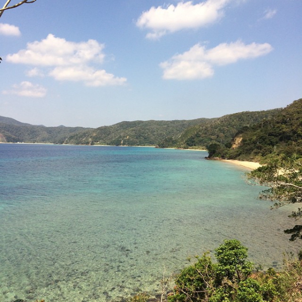 奄美大島加計呂麻島の風景