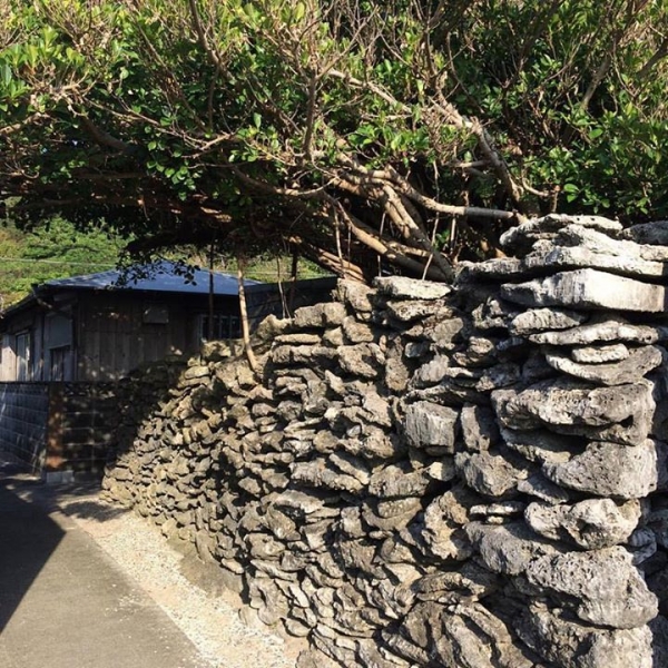 奄美大島加計呂麻島の風景