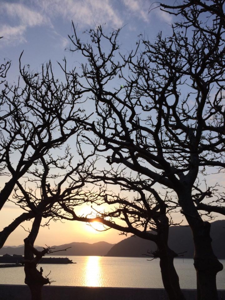 奄美大島加計呂麻島の風景