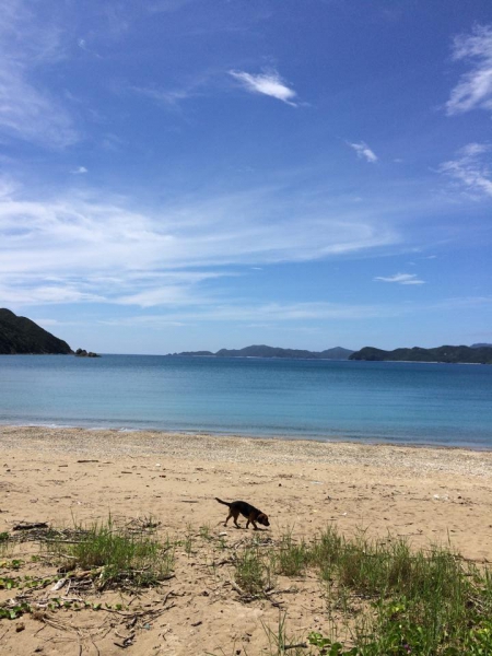 奄美大島加計呂麻島の風景