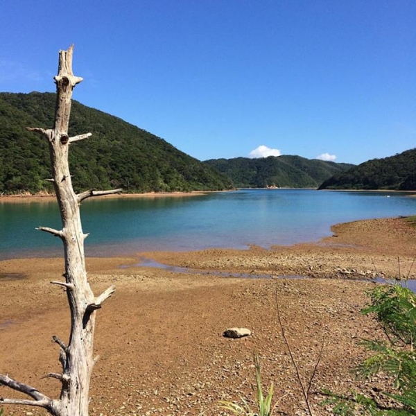 奄美大島加計呂麻島の風景