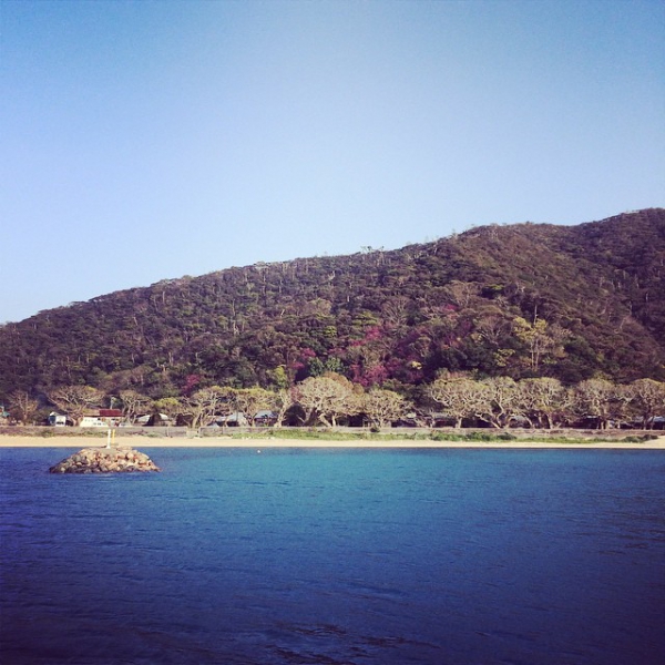 奄美大島加計呂麻島の風景