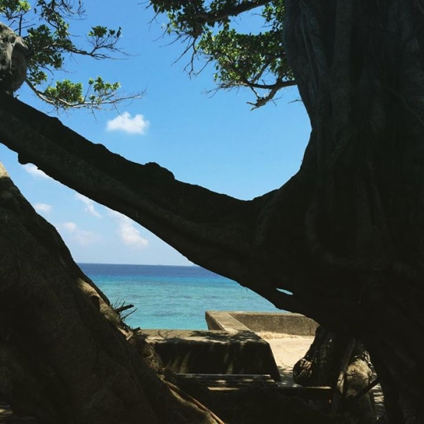 奄美大島加計呂麻島の風景