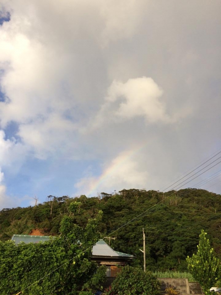 奄美大島加計呂麻島の風景