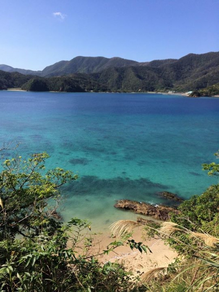 奄美大島加計呂麻島の風景