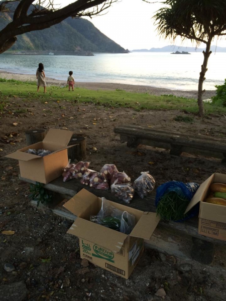 奄美大島加計呂麻島の風景