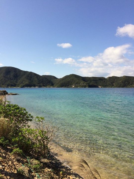 奄美大島加計呂麻島の風景