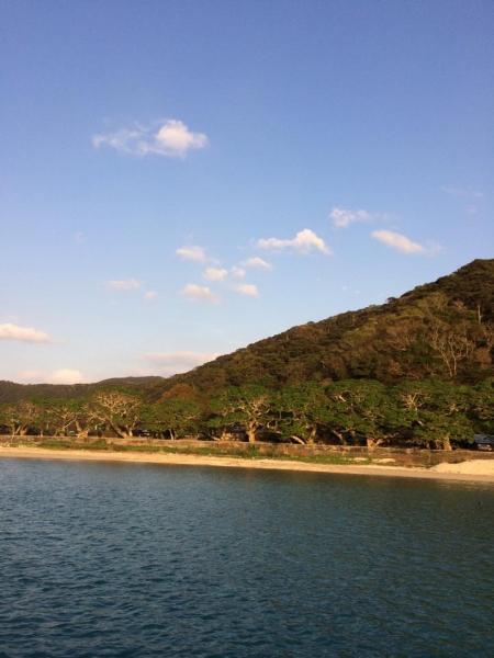 奄美大島加計呂麻島の風景