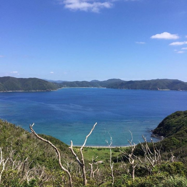 奄美大島加計呂麻島の風景