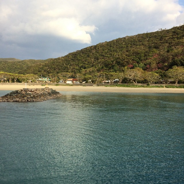 奄美大島加計呂麻島の風景