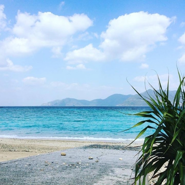 奄美大島加計呂麻島の風景