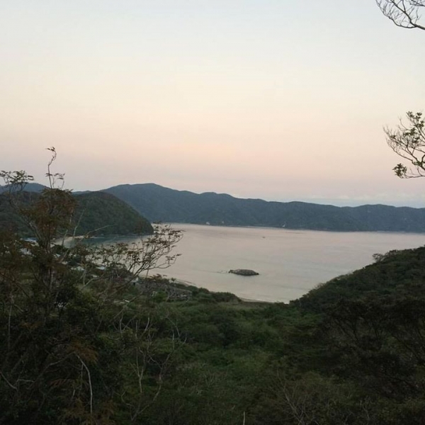 奄美大島加計呂麻島の風景