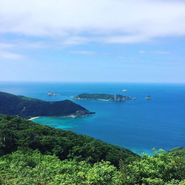 奄美大島加計呂麻島の風景