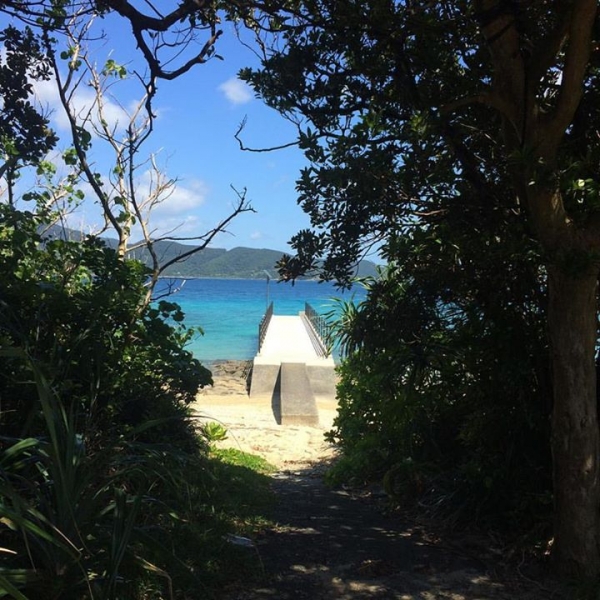 奄美大島加計呂麻島の風景