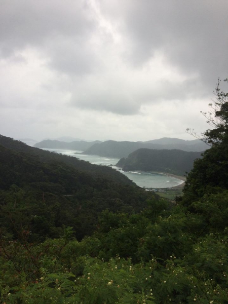 奄美大島加計呂麻島の風景