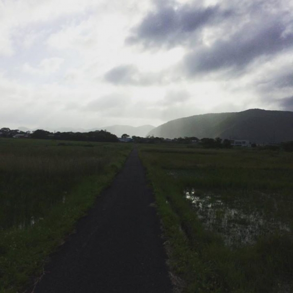 奄美大島加計呂麻島の風景