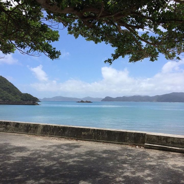 奄美大島加計呂麻島の風景