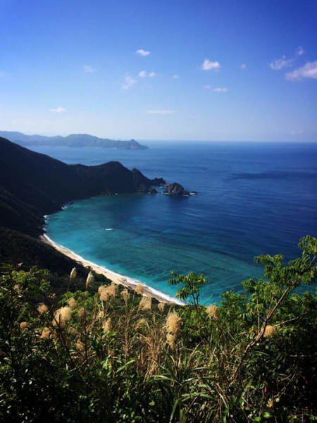 奄美大島加計呂麻島の風景