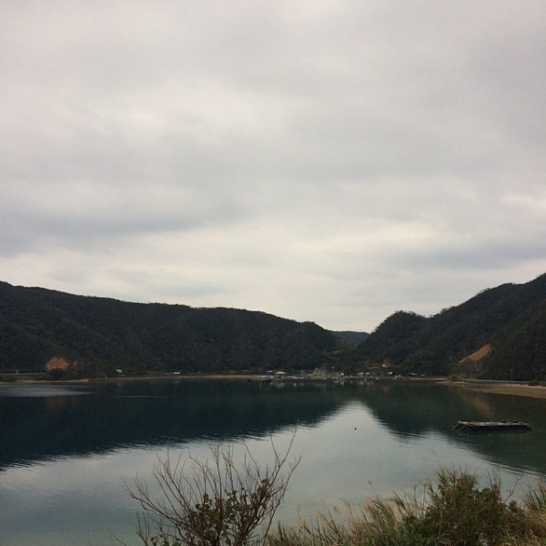 奄美大島加計呂麻島の風景