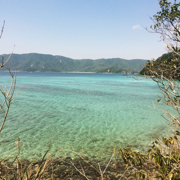 奄美大島加計呂麻島の風景