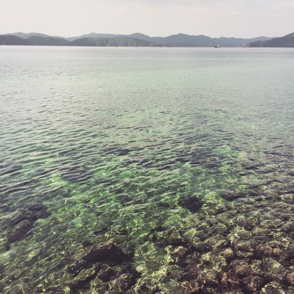 奄美大島加計呂麻島の風景