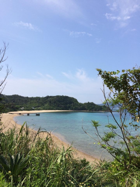 奄美大島加計呂麻島の風景