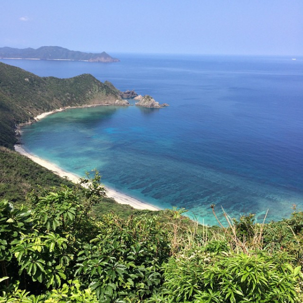 奄美大島加計呂麻島の風景