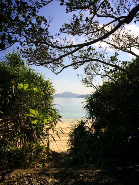 奄美大島加計呂麻島の風景