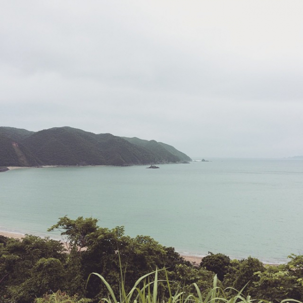 奄美大島加計呂麻島の風景