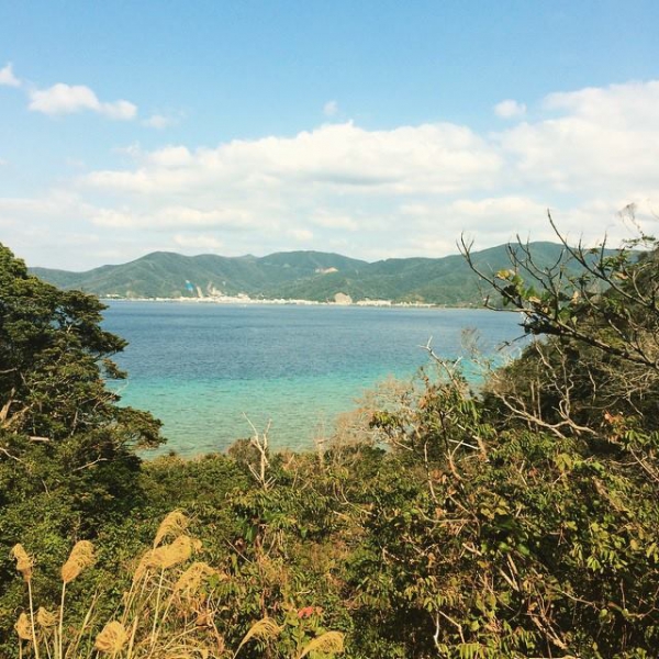 奄美大島加計呂麻島の風景