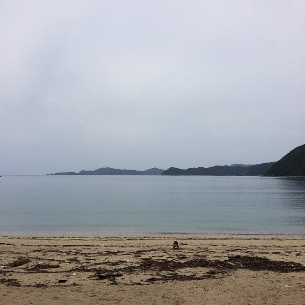 奄美大島加計呂麻島の風景