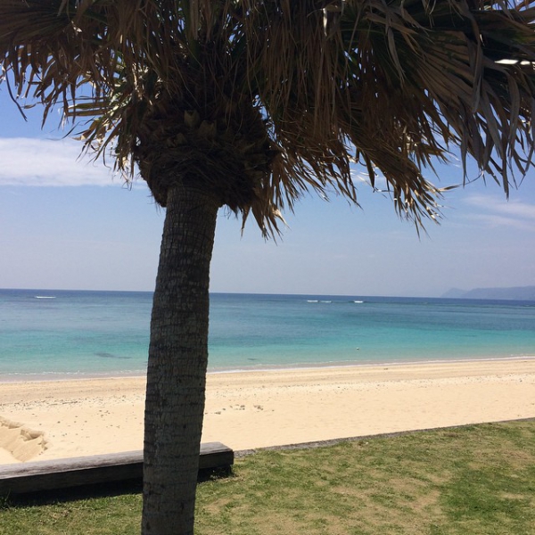 奄美大島加計呂麻島の風景