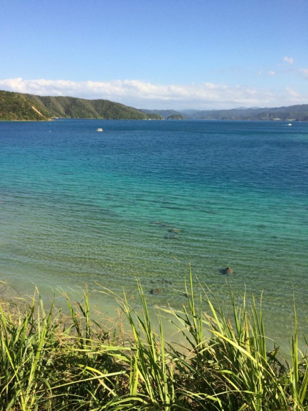 奄美大島加計呂麻島の風景