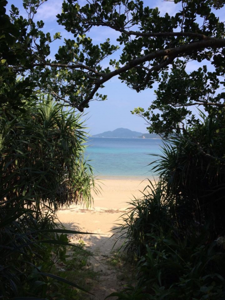 奄美大島加計呂麻島の風景