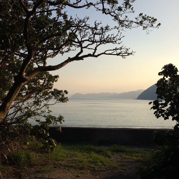 奄美大島加計呂麻島の風景