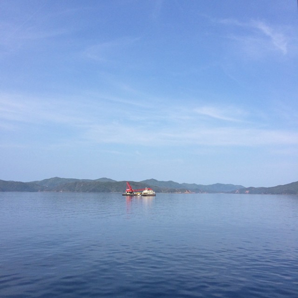 奄美大島加計呂麻島の風景