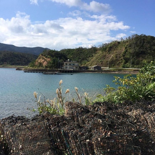 奄美大島加計呂麻島の風景