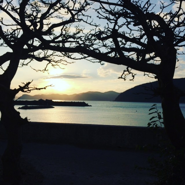 奄美大島加計呂麻島の風景