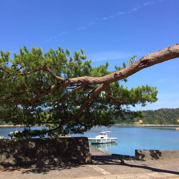 奄美大島加計呂麻島の風景